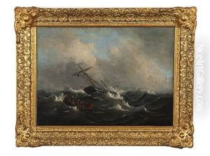 Marine Scene Marine Scene