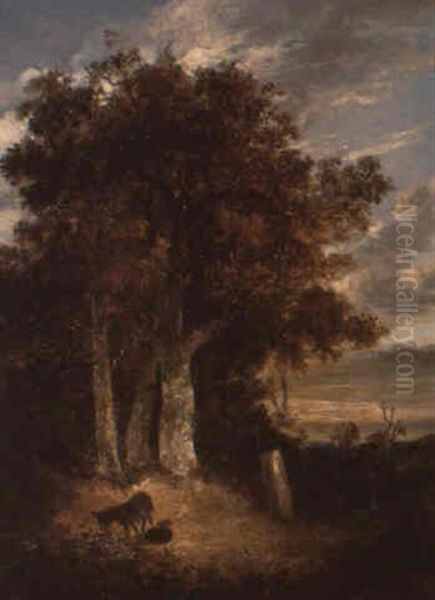 Donkeys In A Wooded Landscape - view 1
