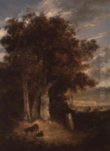 Donkeys In A Wooded Landscape