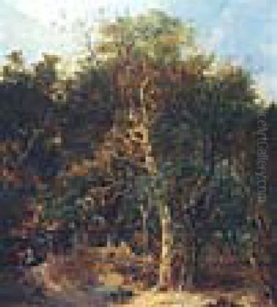 A Norfolk Wood - view 1