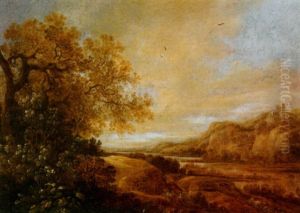 Weite Fluslandschaft Mit Einer Burgruine