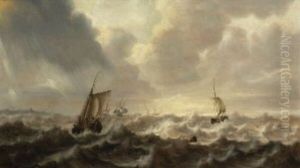 Marine by Pieter Van Der Croos