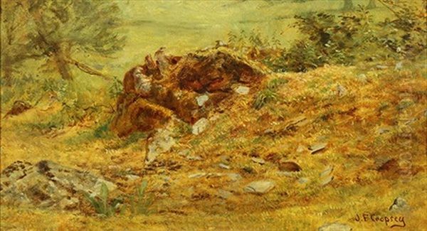 Woodland Stump - view 1