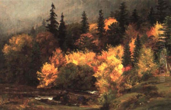 Autumn Foliage In The White Mountains - view 1