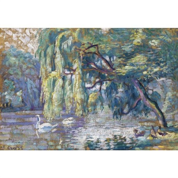 Famille De Cygnes - Le Bois De Boulogne - view 1