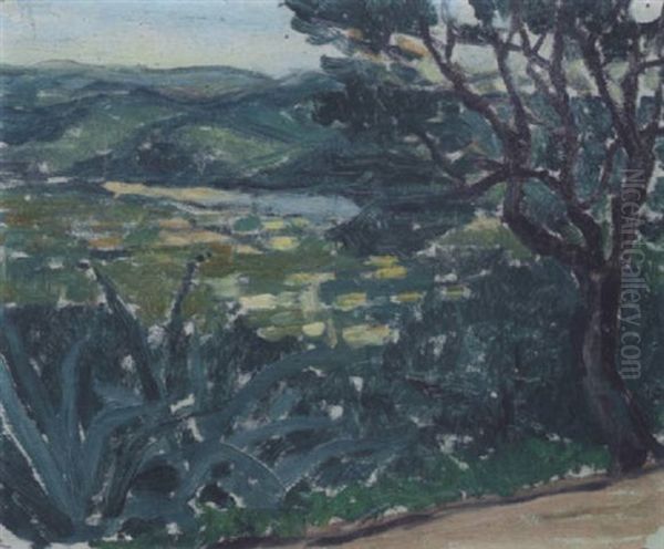 Vue Des Aloes - view 1