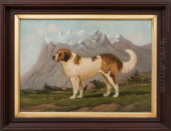 Gladstone" At Seventeen Months Old - view 1