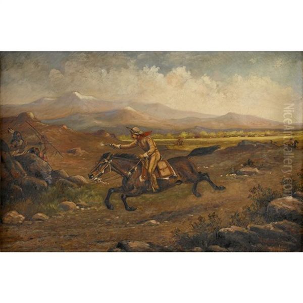 Pony Bob (robert Haslam) - view 1