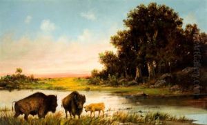 Buffalo By The River