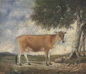 Guernsey Cow Guernsey Cow