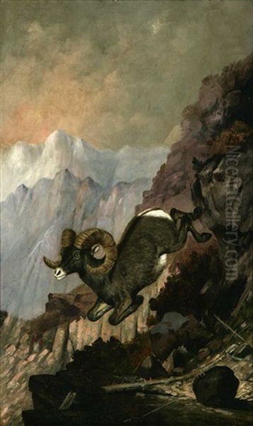 Ram In Mountain Landscape - view 1