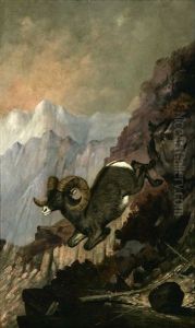 Ram In Mountain Landscape Ram In Mountain Landscape