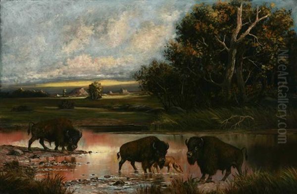 Buffalo In River Landscape - view 1