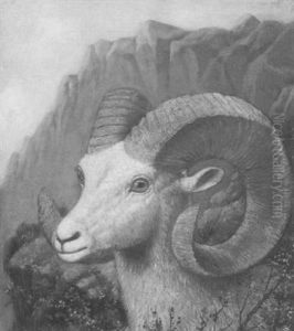 American Big Horn Sheep by Henry H. Cross