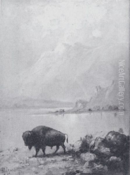 Untitled (lone Buffalo At The Water) - view 1