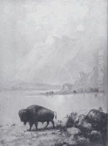 Untitled (lone Buffalo At The Water) by Henry H. Cross