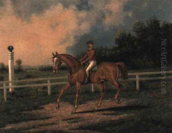 Chestnut Racehorse With Jockey Up On Training Track - view 1