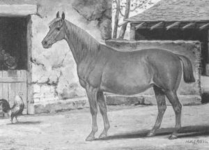 A Mare By A Barn With A Rooster A Mare By A Barn With A Rooster