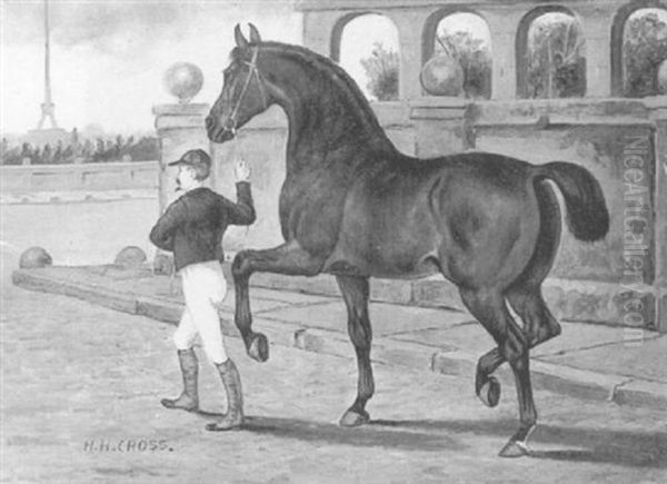 A Chestnut Horse And His Jockey - view 1