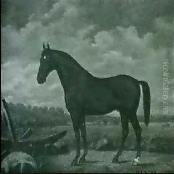 A Bay Stallion In A Landscape - view 1