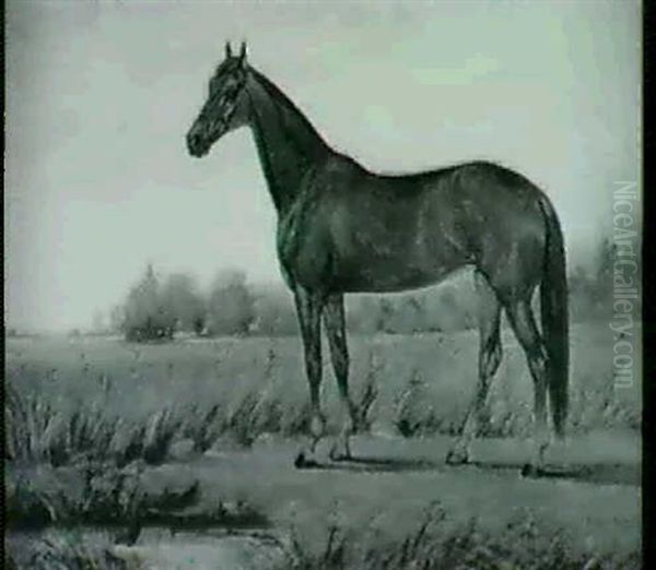 "florence", An Eastern Bred Mare In A Landscape - view 1