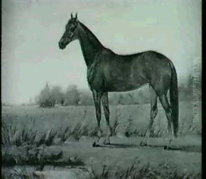 "florence", An Eastern Bred Mare In A Landscape by Henry H. Cross