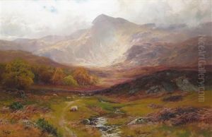 Autumn Hills Autumn Hills