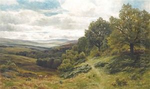 A Tranquil Valley