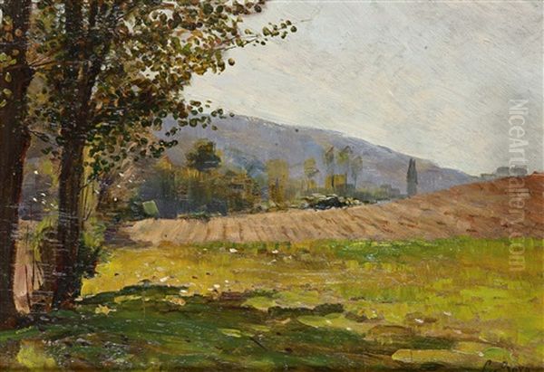 Paesaggio - view 1