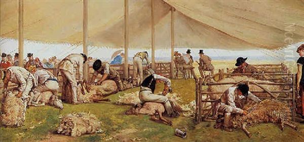 A Sheep-shearing Match - view 1