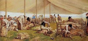 A Sheep-shearing Match by Eyre Crowe