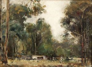 The Clearing The Clearing