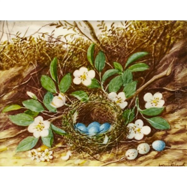Bird's Nest With Flowers - view 1