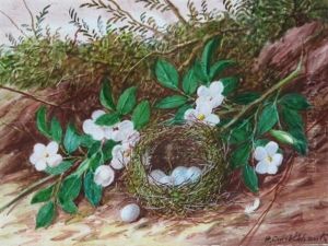 Bird's Nest With Flowers by William Cruickshank