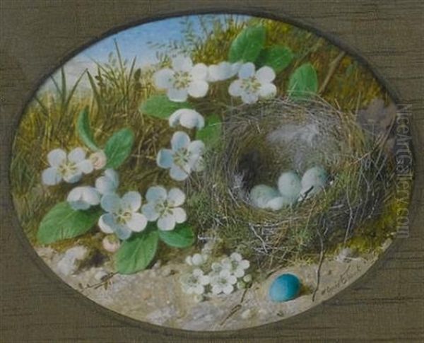 A Pair Of Still Lifes: One Of A Bird's Nest Surrounded By White Flowers, A Blue Egg In The Foreground; One Of A Dead Bird Lying Beside A Bird's Nest Surrounded By White Flowers - view 1