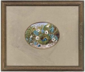 Convolvulus Beside A Birds Nest, On A Mossy Bank (+ A Birds Nest With Eggs, On A Mossy Bank; Pair) by William Cruickshank