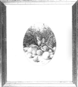 Still Life Of Plums And Apples by William Cruickshank