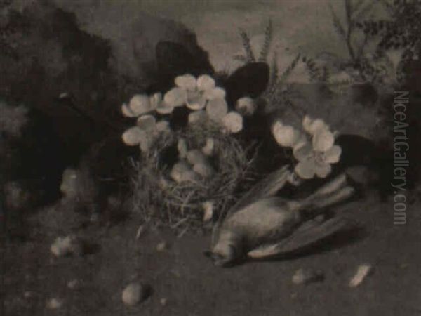 Still Life With Bird And Fallen Nest - view 1
