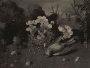 Still Life With Bird And Fallen Nest by William Cruickshank