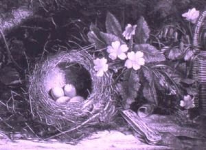 Still Life With Bird's Nest And Primulas by William Cruickshank
