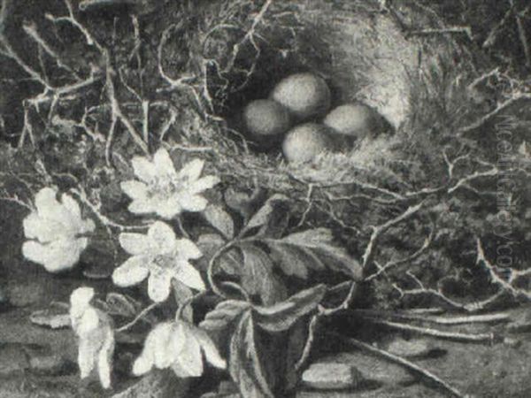 Still Life Of Primulas And A Bird's Nest - view 1