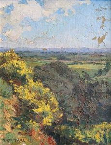 Genets En Fleurs Sur Fond D'alpilles by Victor Crumiere