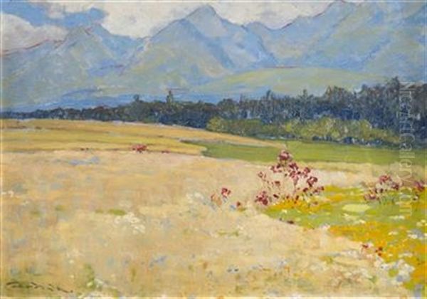 Landscape Below The High Tatras - view 1