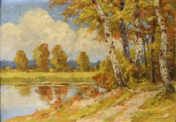 Birch Trees By The Lake - view 1