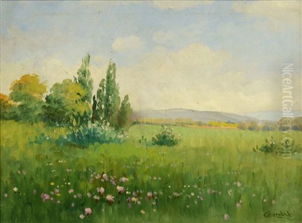 Meadow In Bloom - view 1