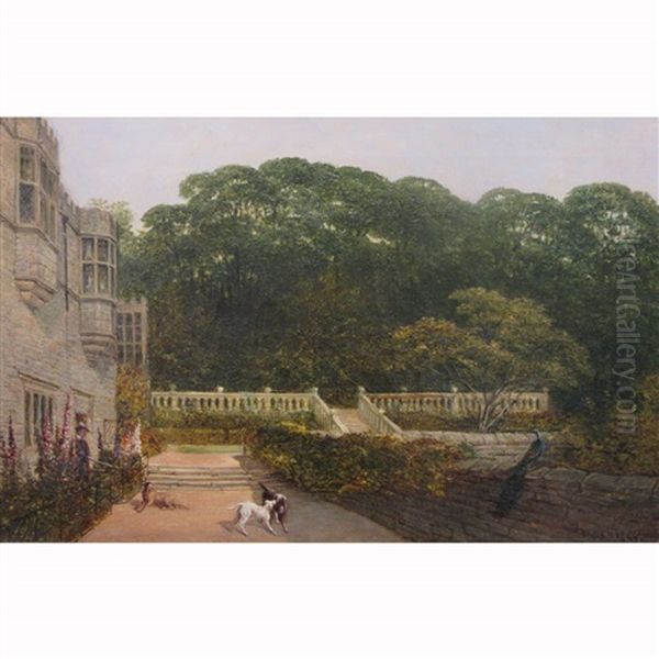 Skirmish On The Terrace - view 1