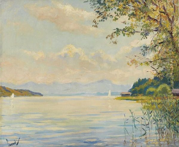 Starnberger See - Fernsicht - view 1