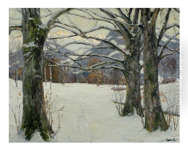 In Winter Light - view 1
