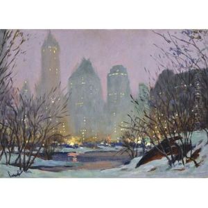 Fifth Avenue Hotels From Central Park