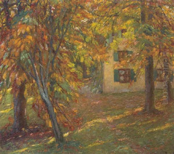 A House In A Sunlit Woodland Clearing - view 1